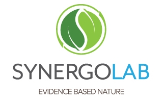 Synergolablogo.jpg